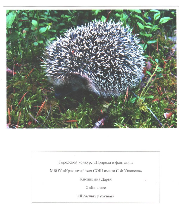 Image00001