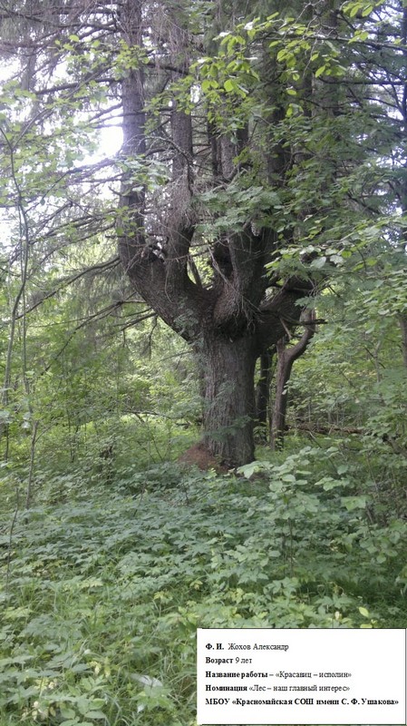 Image00003