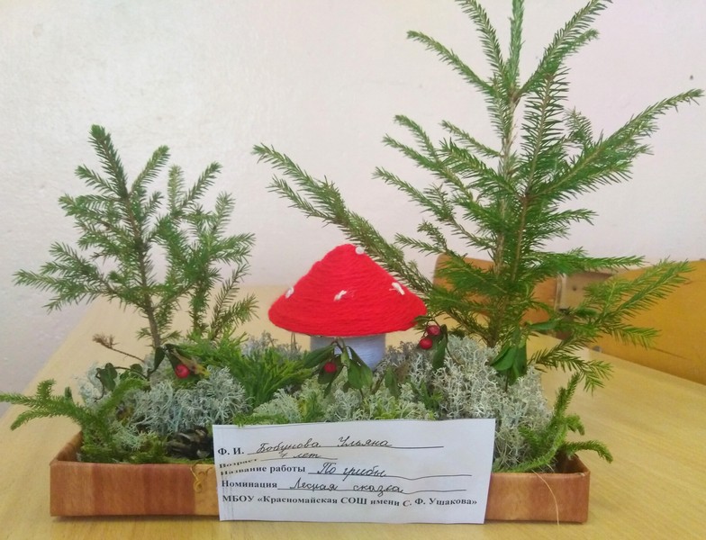 Image00013