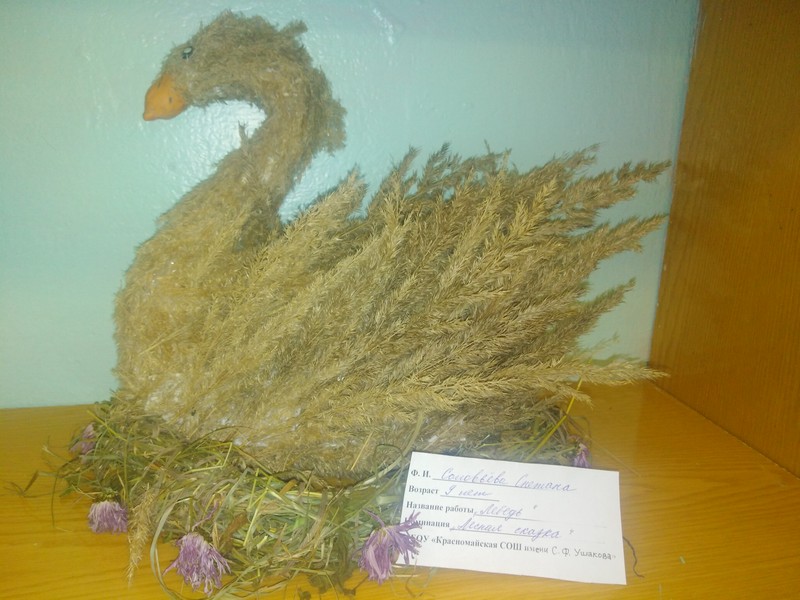 Image00021