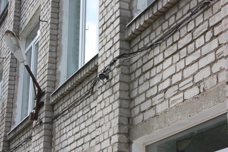 IMG 3524